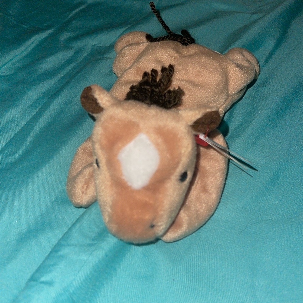 Derby the beanie baby